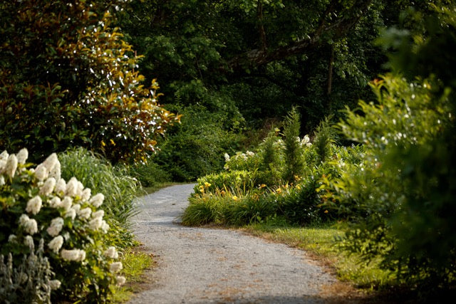 Botanical Trail