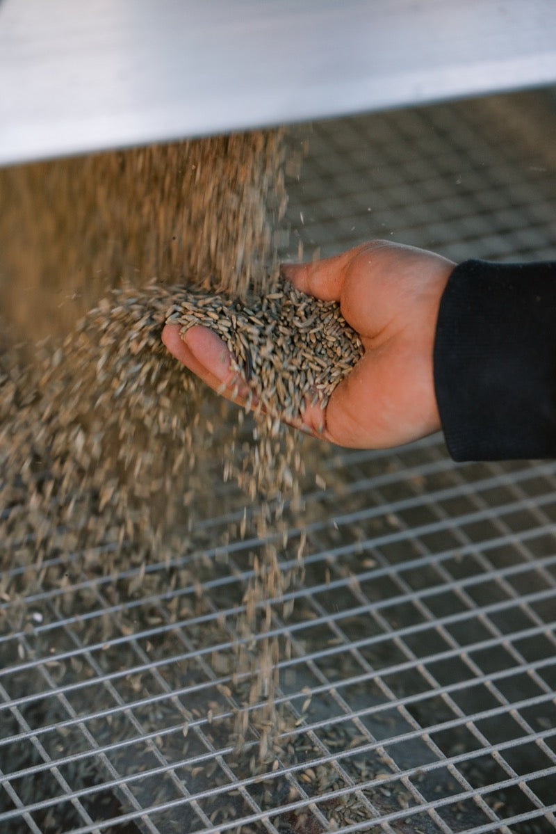 Sourcing