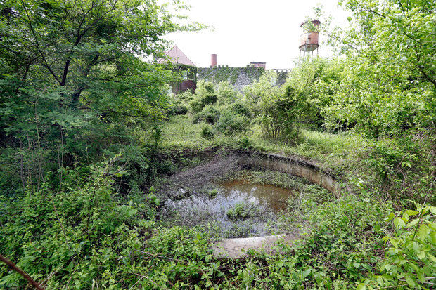 Castle & Key grounds