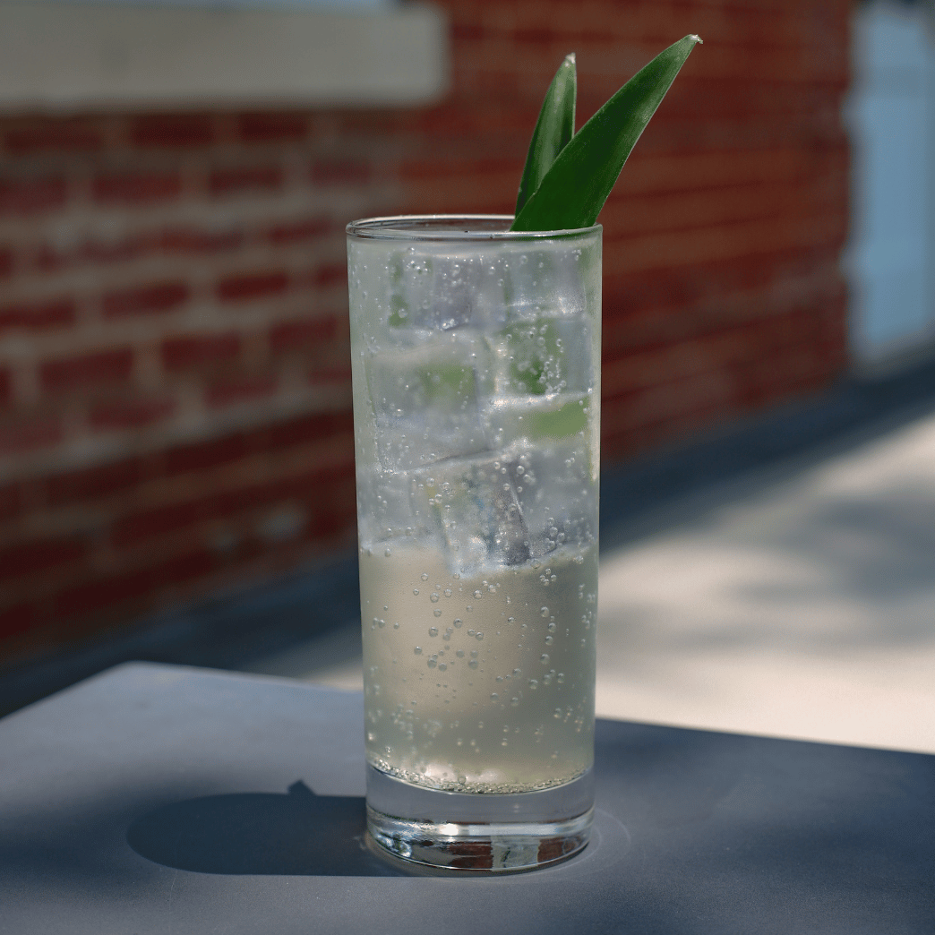 Pineapple Tarragon Seltzer