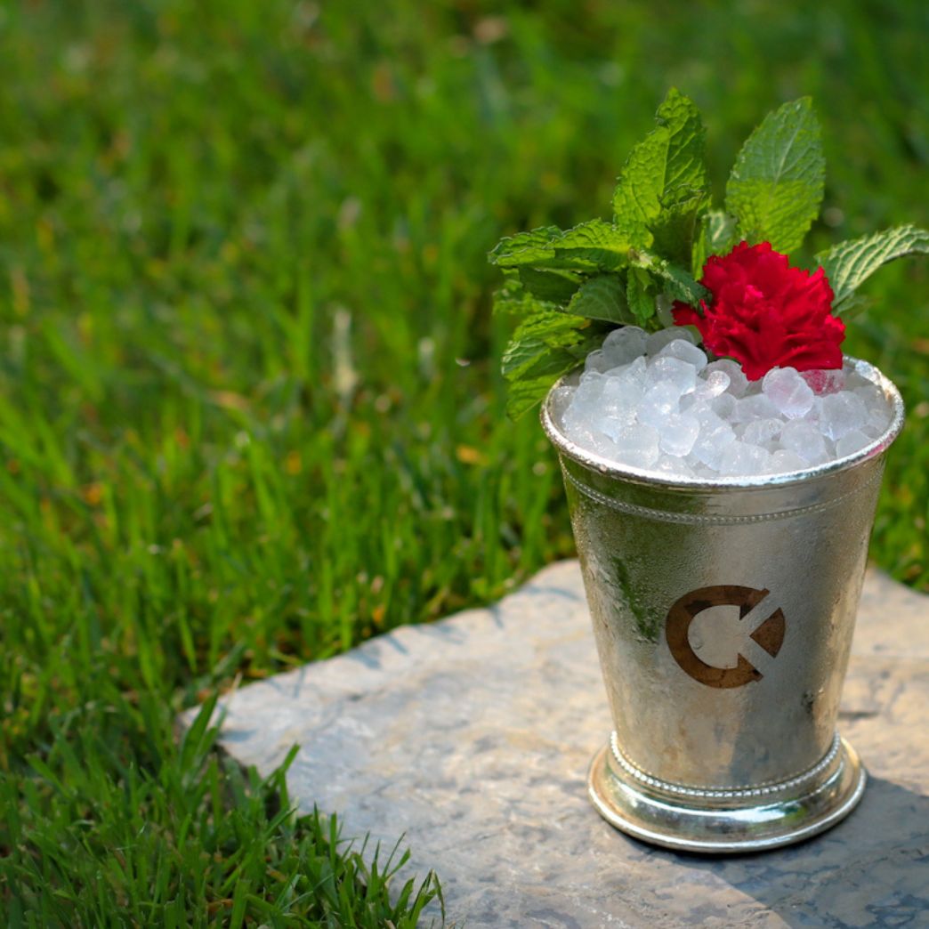 Rhubarb Gin Julep