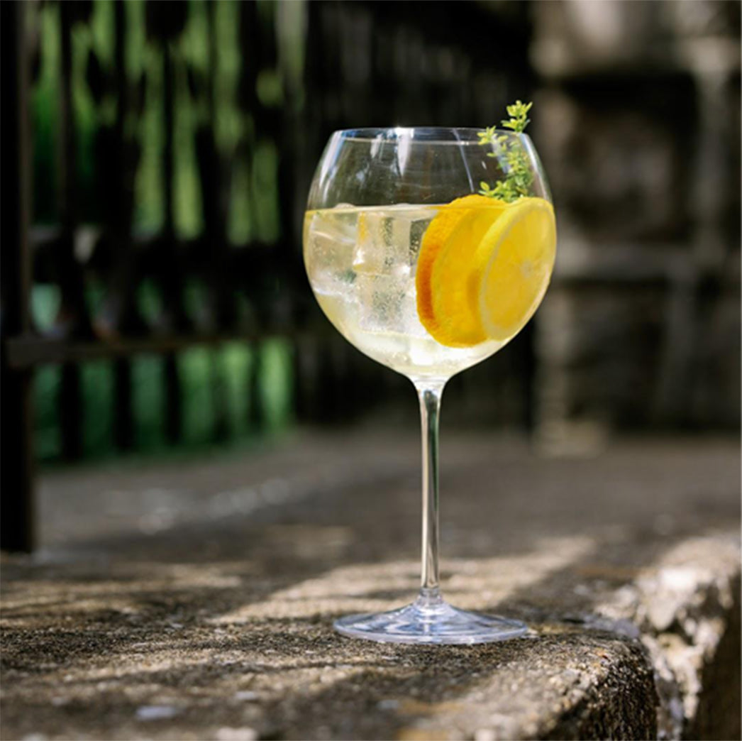 Seasonal Gin Sangaree