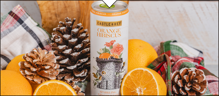 Orange Hibiscus Sparkling Gin Cocktail can with oranges and pinecones