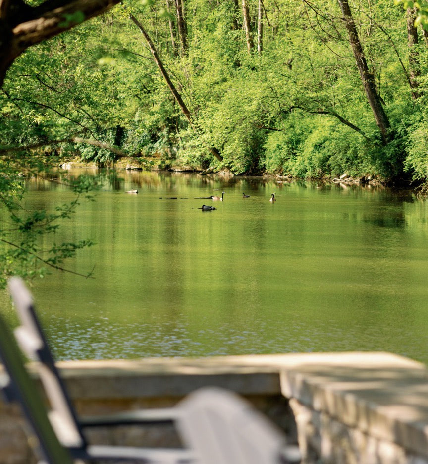 Natural Springs & Limestone Water
